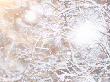 Winter Park 'ta. Karlı havada manzara manzarası. Ocak.