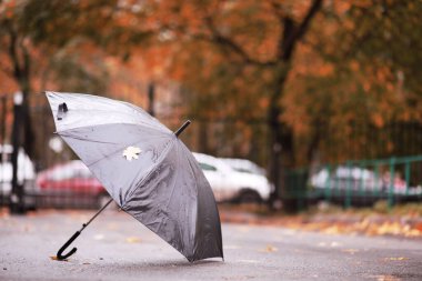 Ekim ayında sonbahar yağmurlu park