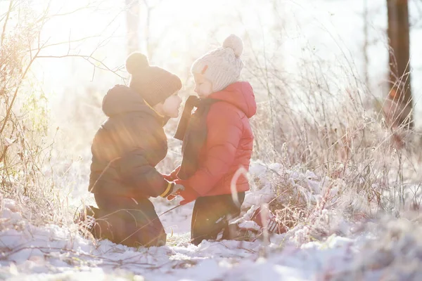 穿着保暖衣服的可爱孩子们在冬园玩耍 — 图库照片