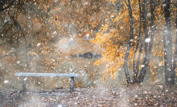 初雪の秋の公園 — ストック写真