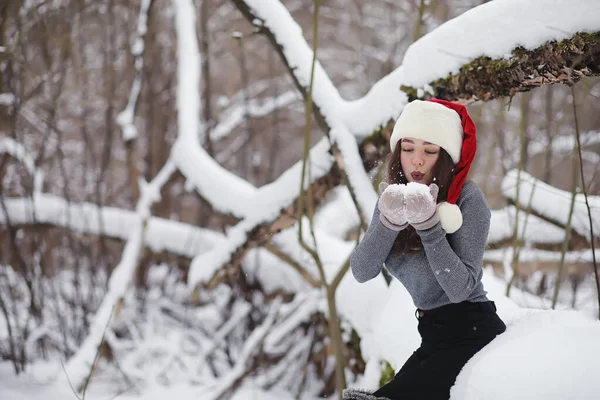 一个年轻的女孩在一个冬天公园散步。圣诞假期在 t — 图库照片