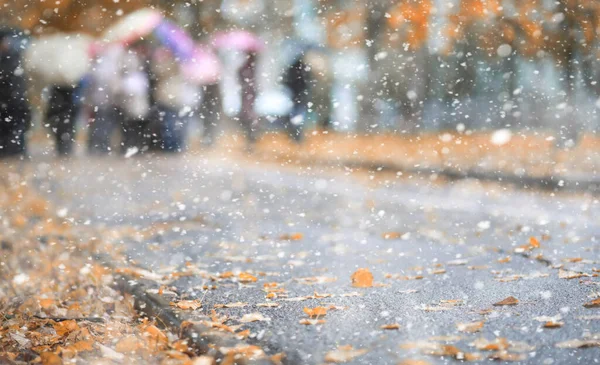 Parc d'automne dans la première neige — Photo