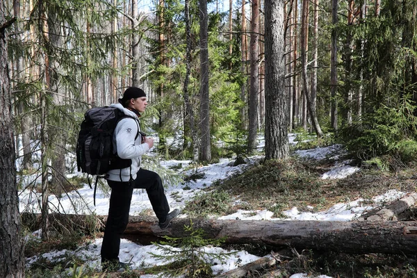 Člověk je jako turista v borovém lese s batohem. A turistické tr — Stock fotografie