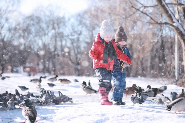 Děti krmí ptáky v parku — Stock fotografie