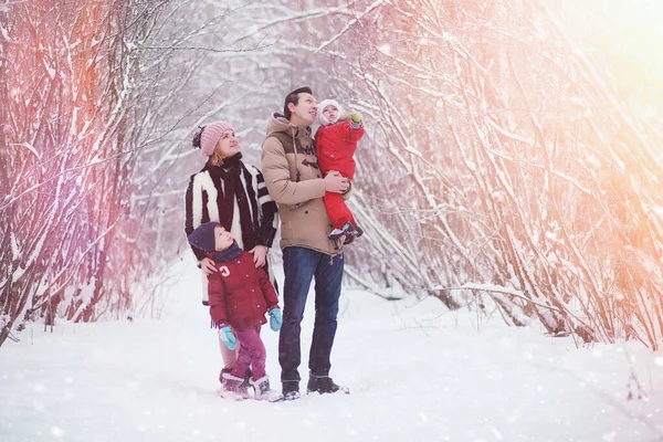 Молодая семья с детьми гуляет в зимнем парке. Винте — стоковое фото