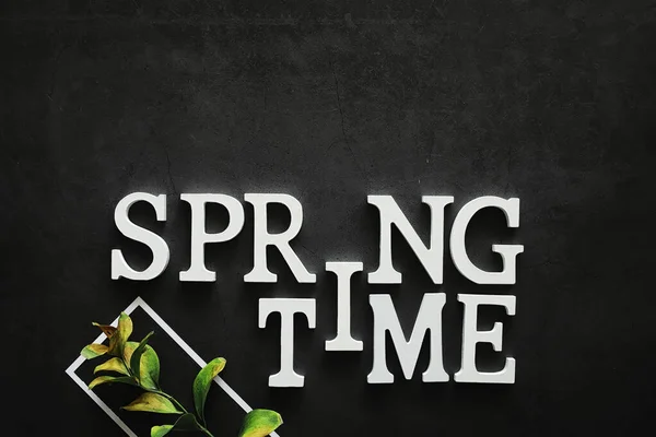 Poster concept. On a dark background the inscription about sprin — ストック写真