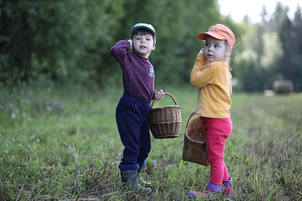Les enfants vont dans la forêt pour les champignons — Photo