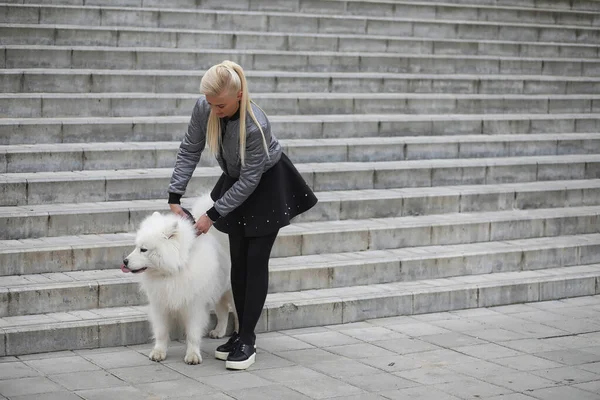 Menina encantadora em um passeio com um belo cão — Fotografia de Stock