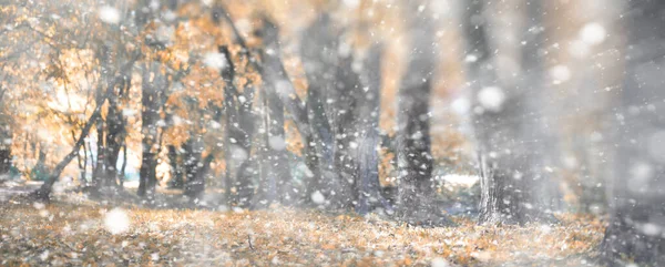 最初の雪の背景秋の公園 — ストック写真