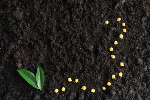 Seeds in the ground. Seed preparation for planting in the spring — ストック写真