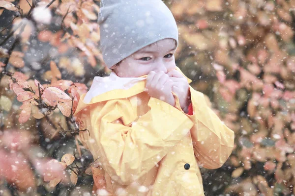 Çocuklar parkta ilk kar yürümek — Stok fotoğraf