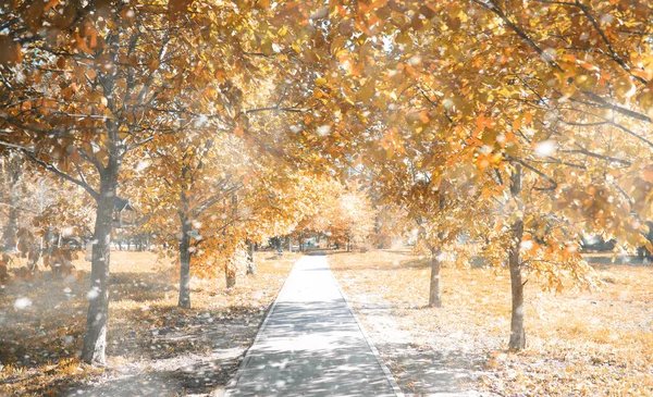 初雪の秋の公園 — ストック写真