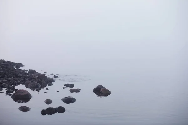 Nebel im See. Morgen Natur Wasser weißer Nebel. — Stockfoto