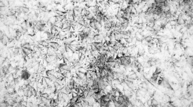 Karda ayak izleri. İlk kar üzerinde ayak izleri. Künye bir