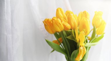 Pencere kenarındaki vazoda bir buket sarı lale. Kırmızı lale çiçeklerinden bir kadın günü hediyesi. Pencerenin yanındaki vazoda güzel kırmızı çiçekler