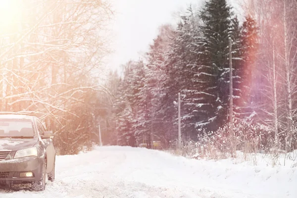 Das Auto ist grau auf der Straße im Wald. eine Reise ins Land — Stockfoto