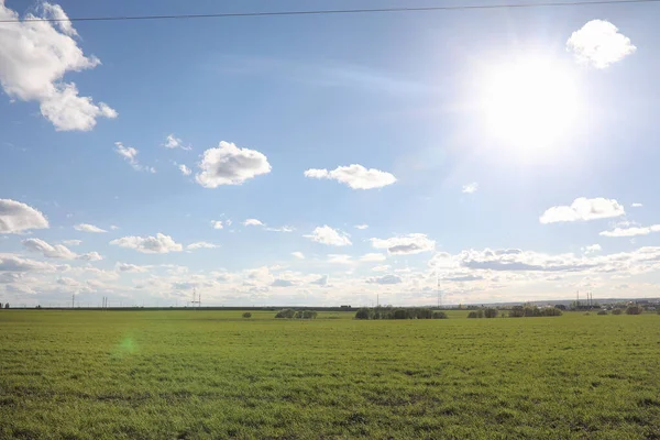 El paisaje es verano. Árboles verdes y hierba en una tierra rural — Foto de Stock