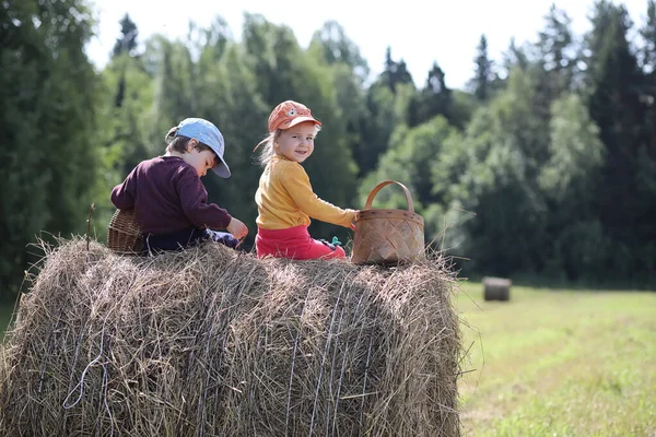 Barn går till skogen för svamp — Stockfoto