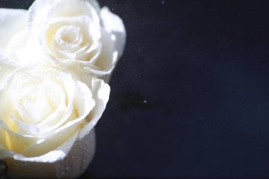 Bir buket taze çiçek. Sevdiğine bayram hediyesi. Sevgililer Günü arkaplanı. Gül, lale, Iris çiçek aranjmanı.