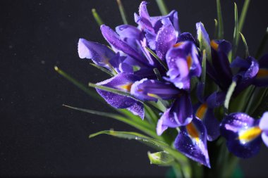 Bir buket taze çiçek. Sevdiğine bayram hediyesi. Sevgililer Günü arkaplanı. Gül, lale, Iris çiçek aranjmanı.