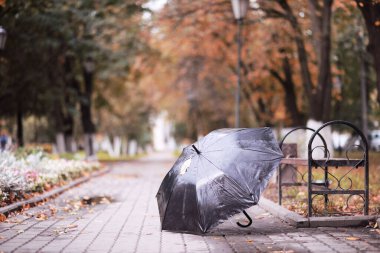 Ekim öğleden sonra yağmurlu sonbahar park