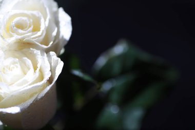 Bir buket taze çiçek. Sevdiğine bayram hediyesi. Sevgililer Günü arkaplanı. Gül, lale, Iris çiçek aranjmanı.