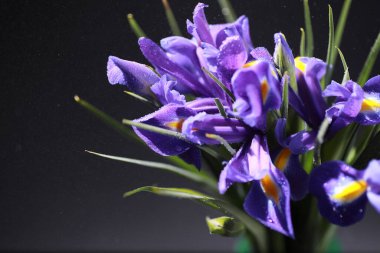 Bir buket taze çiçek. Sevdiğine bayram hediyesi. Sevgililer Günü arkaplanı. Gül, lale, Iris çiçek aranjmanı.