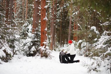 Bir adam sırt çantasıyla seyahat eder. Ormanda kış yürüyüşü. Kışın parkta yürüyüş yapan bir turist..