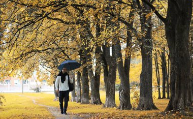 Gözlüklü genç bir adam yağmur sırasında elinde şemsiyeyle parkta yürür..