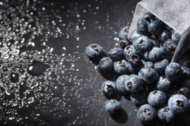 Olgun tatlı yaban mersinine su damlası. Metnin için fotokopi alanı olan taze yabanmersini arkaplanı. Vejetaryen ve vejetaryen kavramı. Yaban mersinli böğürtlenlerin makro dokusu. Yaban mersinli dokular kapanıyor.