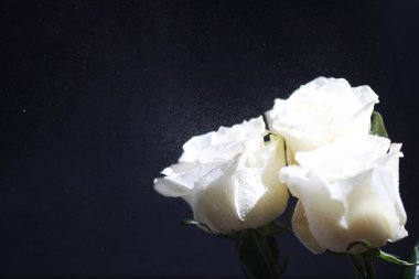 Bir buket taze çiçek. Sevdiğine bayram hediyesi. Sevgililer Günü arkaplanı. Gül, lale, Iris çiçek aranjmanı.