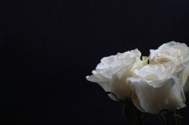 Bir buket taze çiçek. Sevdiğine bayram hediyesi. Sevgililer Günü arkaplanı. Gül, lale, Iris çiçek aranjmanı.