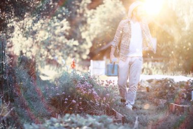 Erkek çiftçi akşamları sebze bahçesini suluyor.
