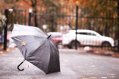Ekim öğleden sonra yağmurlu sonbahar park