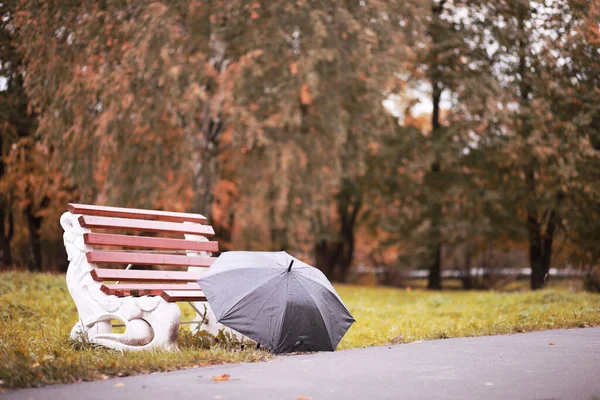 Autunno Parco Piovoso Nel Pomeriggio Ottobre — Foto Stock