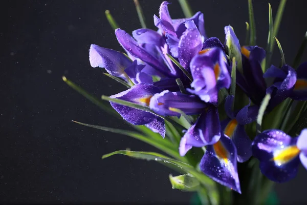 Bir buket taze çiçek. Sevdiğine bayram hediyesi. Sevgililer Günü arkaplanı. Gül, lale, Iris çiçek aranjmanı.
