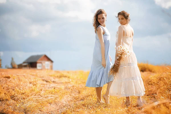 Duas Meninas Bonitas Vestidos Campo Outono Divertir — Fotografia de Stock