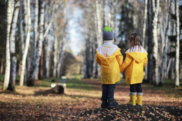 Les Enfants Marchent Dans Parc Automne Automne — Photo