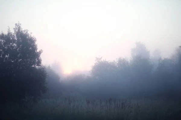 Mist Het Meer Morgen Natuur Water Witte Mist — Stockfoto