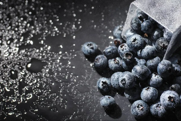 Olgun tatlı yaban mersinine su damlası. Metnin için fotokopi alanı olan taze yabanmersini arkaplanı. Vejetaryen ve vejetaryen kavramı. Yaban mersinli böğürtlenlerin makro dokusu. Yaban mersinli dokular kapanıyor.