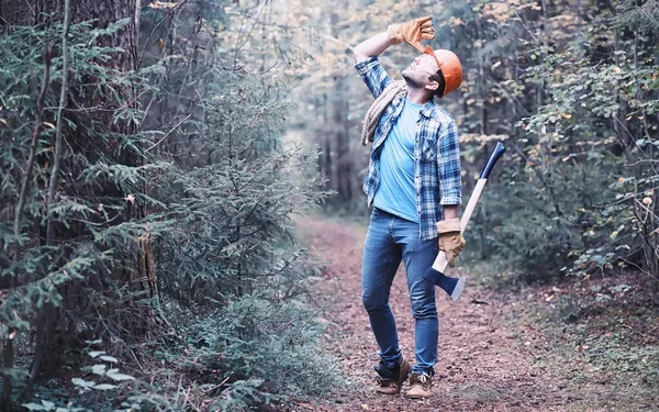 Muž Dřevorubec Lese Profesionální Dřevorubec Kontroluje Kácení Stromů — Stock fotografie