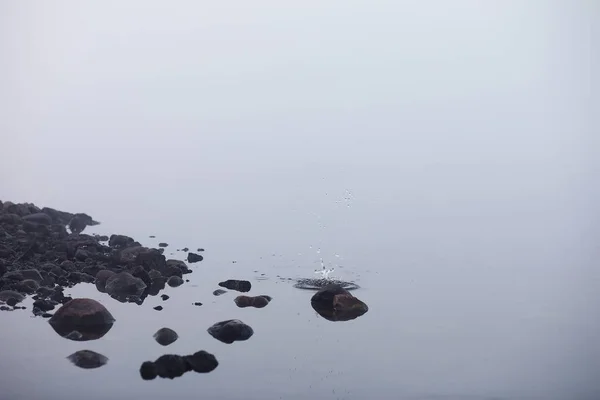 Mgła Jeziorze Poranek Natura Woda Biała Mgła — Zdjęcie stockowe