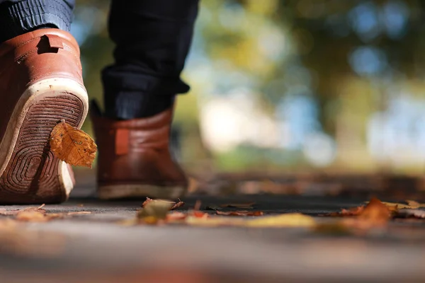 Autumn Park Homem Caminhando Longo Uma Folhagem Caminho — Fotografia de Stock