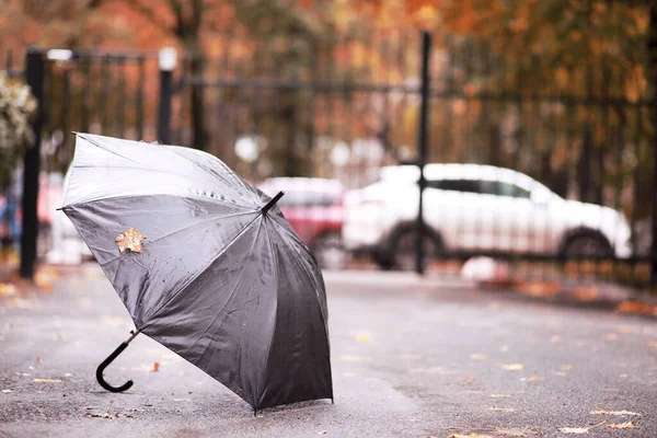 Ekim öğleden sonra yağmurlu sonbahar park