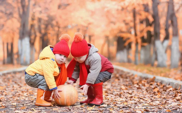 Barn Går Naturen Twilight Kids Går Runt Parken Broder Med — Stockfoto