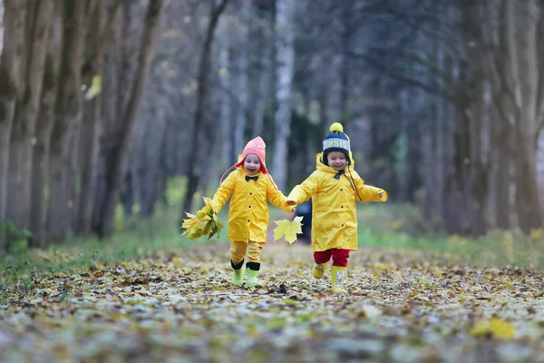 Malé Děti Jsou Procházky Podzimním Parku Podzim Listí — Stock fotografie
