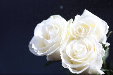 Bir buket taze çiçek. Sevdiğine bayram hediyesi. Sevgililer Günü arkaplanı. Gül, lale, Iris çiçek aranjmanı.