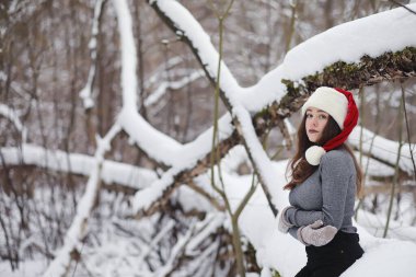 Kış parkında yürüyüş yapan genç bir kız. Kış ormanlarında Noel tatili. Kız parkta kışın tadını çıkarıyor.