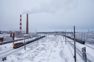 Kış orman manzarası. Kar altında uzun ağaçlar. Ocak ayının soğuk günü parkta.