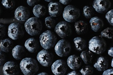 Olgun tatlı yaban mersinine su damlası. Metnin için fotokopi alanı olan taze yabanmersini arkaplanı. Vejetaryen ve vejetaryen kavramı. Yaban mersinli böğürtlenlerin makro dokusu. Yaban mersinli dokular kapanıyor.